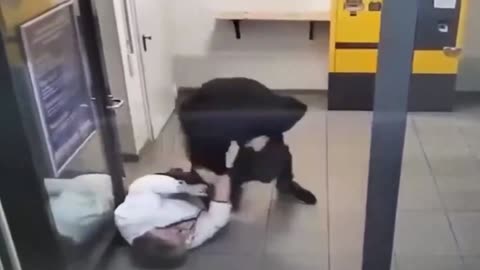 Pakistanis attack elderly White Grandma