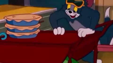 funny funny videos funny jokes funny animals funny memes funny movies funny bone