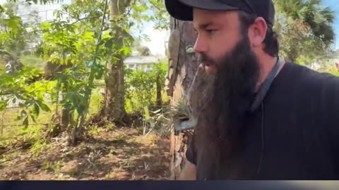 NIGHTMARE CLEANUP: Couple Lends Mower to Friend—Now It's Broken P7