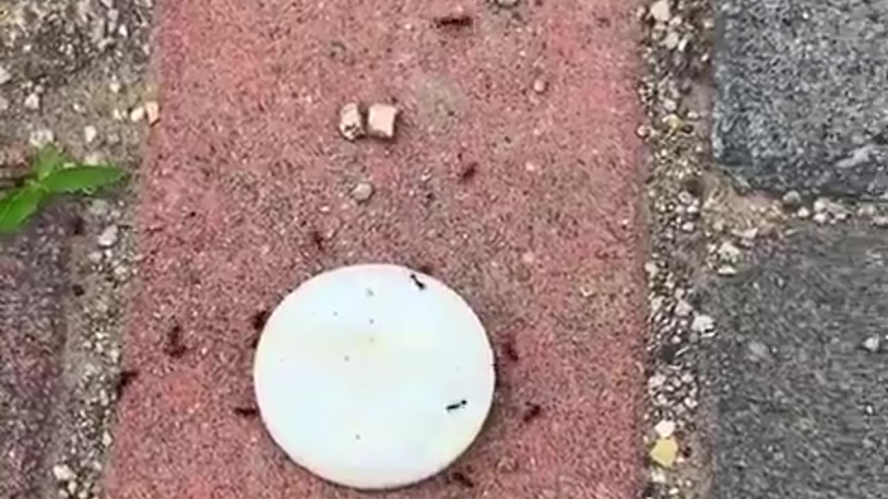 this is so evilðŸ˜