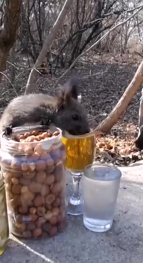 Enjoying some lunch at the park