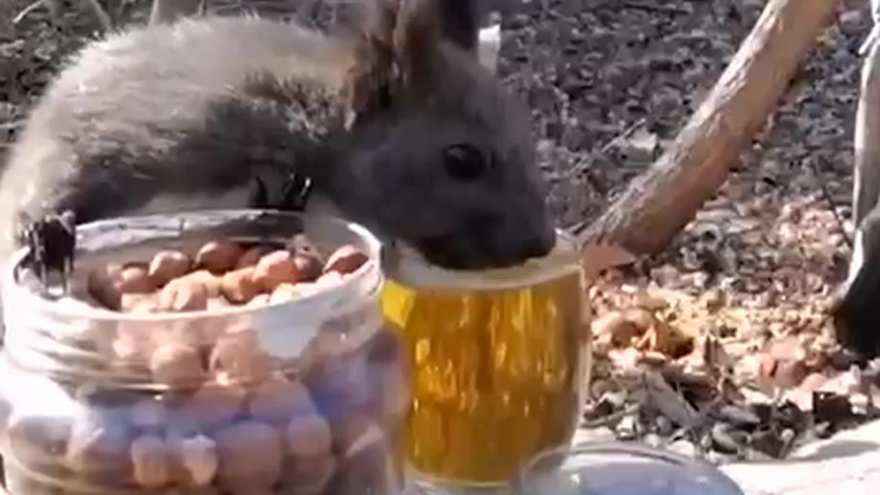 Enjoying some lunch at the park