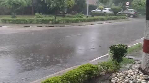 rain rain , the very big time, morning time, news,dog training,alexa, heavy rain