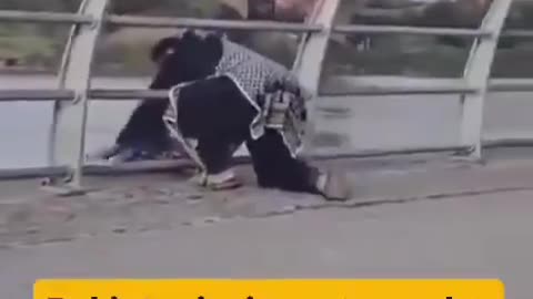 A Pakistani migrant casually dumps garbage, bones and pieces of meat in the River Clyde