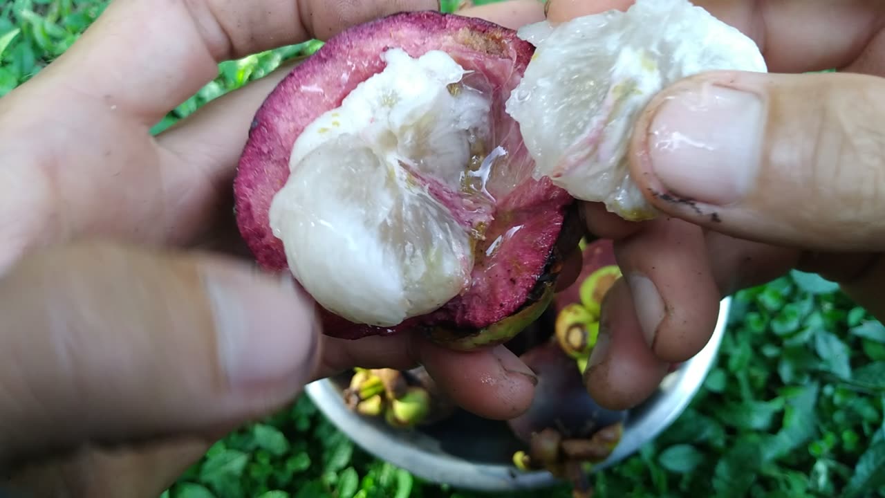 Mangosteen touch...