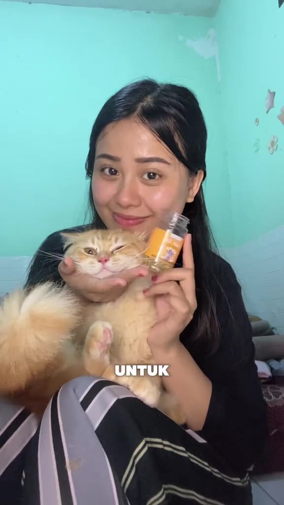 A Day in the Life of a Cat Owner
