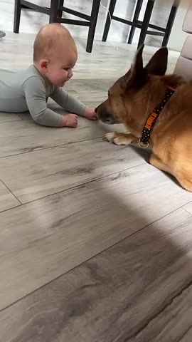 Nervous Dog Gives New Baby a Kiss || ViralHog