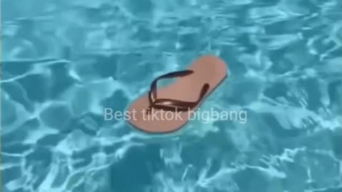 Best big bank challenge 🍩😋 tiktok #shorts #tiktokbigbank #tiktok #tiktokchallenge #viralvideo 