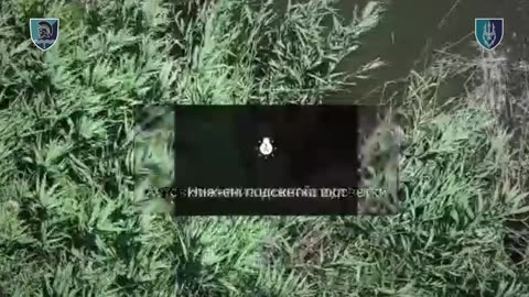 Russian Infantry Group Trying to Move Through Marshes Along Dnipro River in Kherson