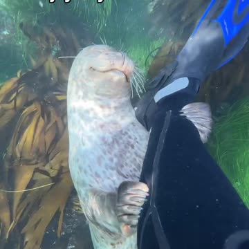 Beginning of a beautiful friendship