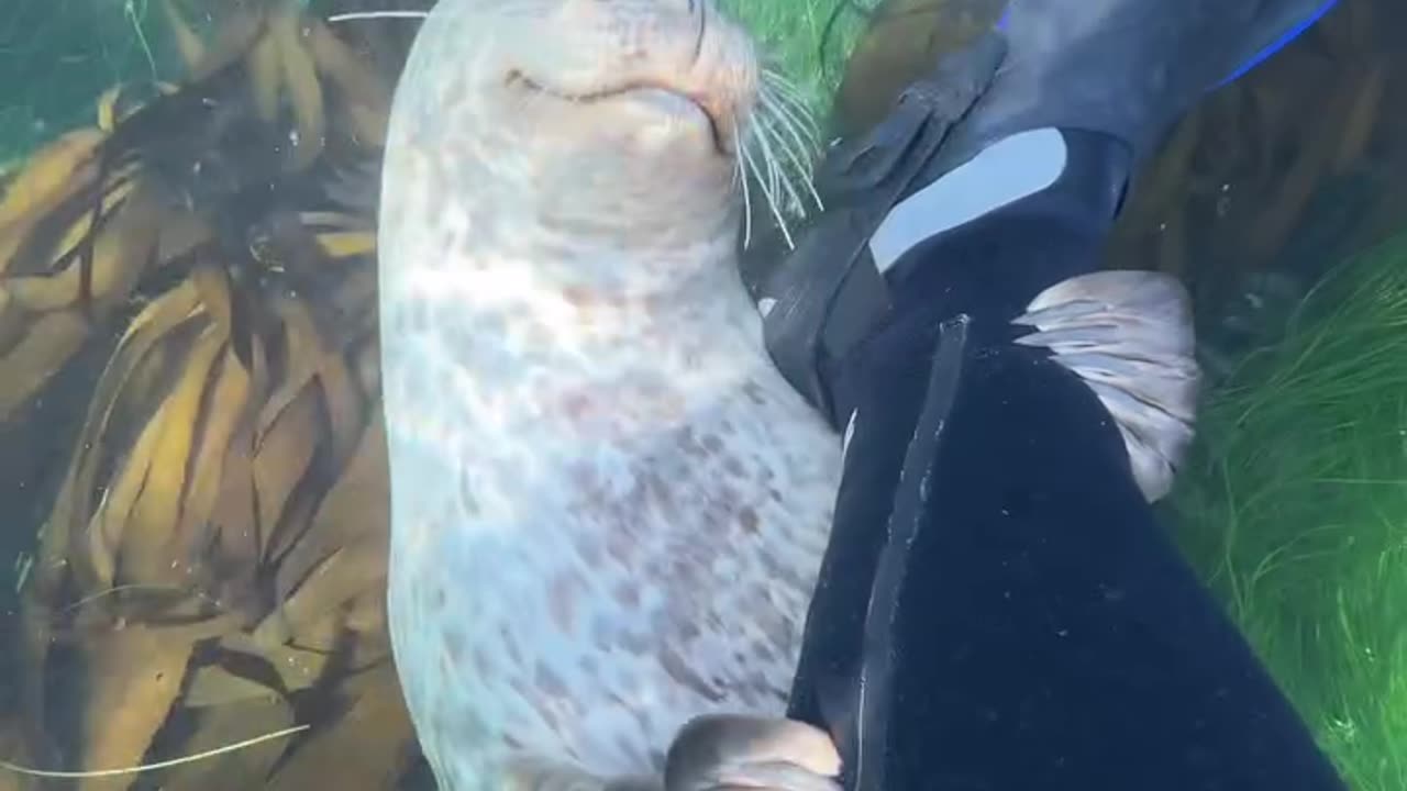 Beginning of a beautiful friendship