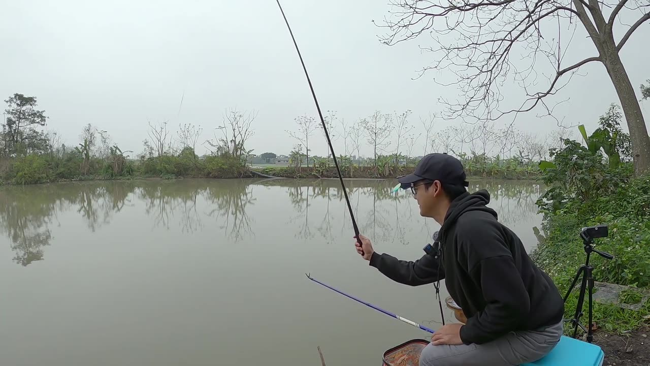 Tracking Catfish in Murky River Depths