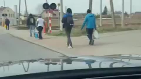 Hajnówka, napływa coraz więcej filmów ze spacerków nielegalnych.