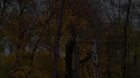 🙏🌟 Praise & Prayer | Glorify God with Heartfelt Worship | InGodWeTrustDaily