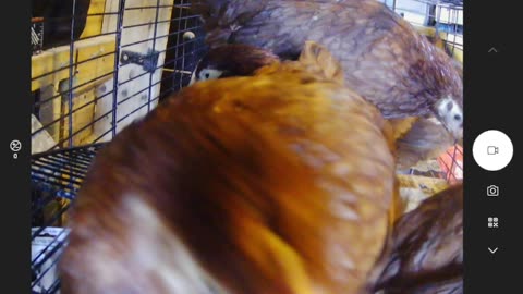 The Hatched Identity