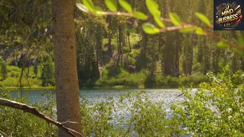 MYB-ADAM AND EVE: CHOICE, CONSEQUENCES, AN HOW IT SHAPE OUR LIFE TODAY