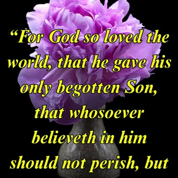 John 3:16
