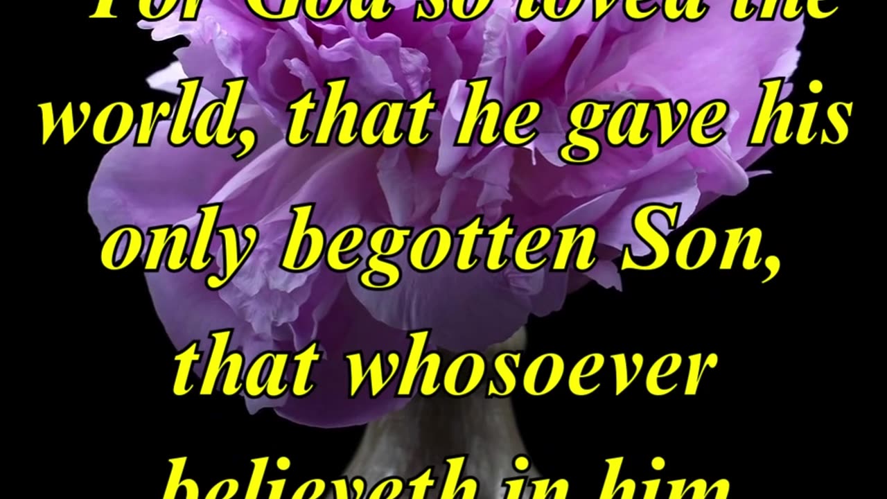 John 3:16