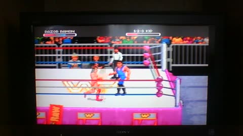 My Japanese Video Game Collection 155 WWF RAW