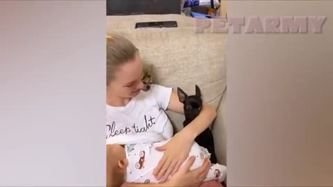 ❤️When a Big Dog Makes Loving Eye Contact With a Baby 💞 – Cutest Baby & Dog Moments! 🐶