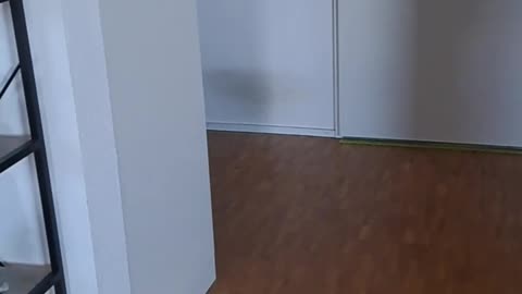 Info zur Entführung von Cristiana