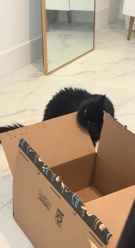 Hole punch machine 🤣