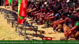 Gabaasa Tarkaanfii ONM-ABO Sadaasa 16-2025 itti dhiyaadhaa!