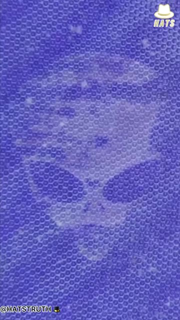 The tall Grays own the business...