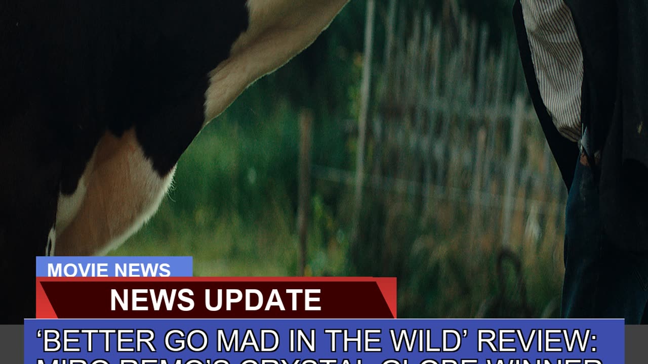 Better Go Mad in the Wild Review Miro Remos Cr