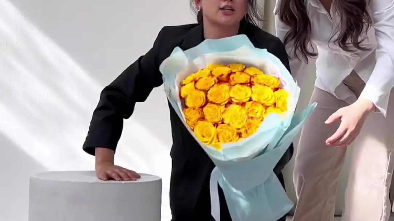 funnyvideosdaily