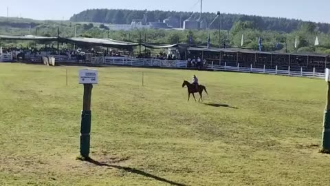 Actividades en el Ruedo (no está completa) - Patria Gaucha 2025 - Tacuarembó, mañana del 21/03