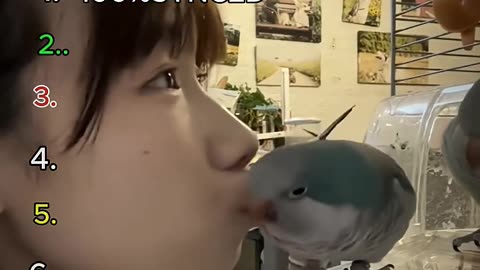 Ranking The Most Trending Funniest Parrot Moment 🐦 🦜 🤭🤣🤣