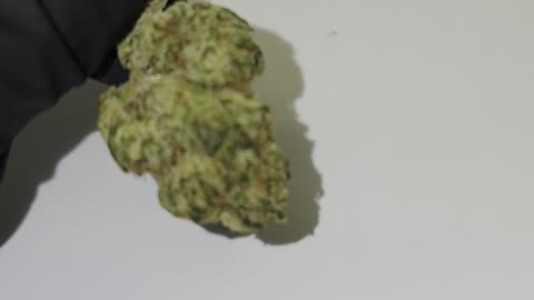 Strawberry Slushie THCA Flower