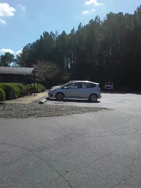 Library only popular during natural disasters