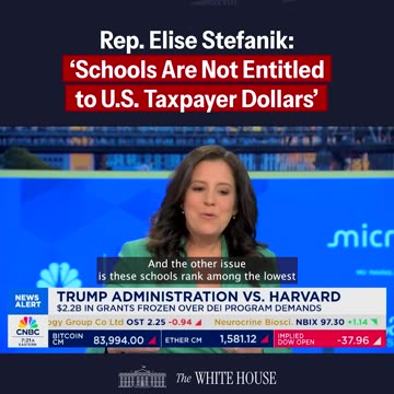 'Harvard Has Been The Epitome Of This Failure'