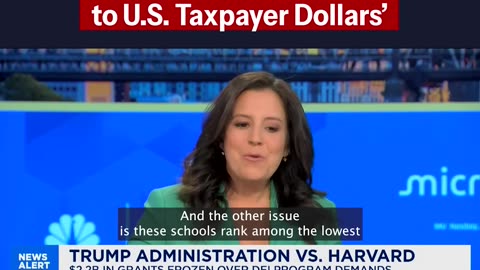 'Harvard Has Been The Epitome Of This Failure'