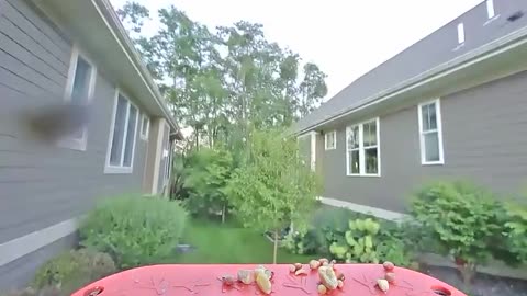 🦌🍔 Deer's Epic Snack Attack! | FunFM