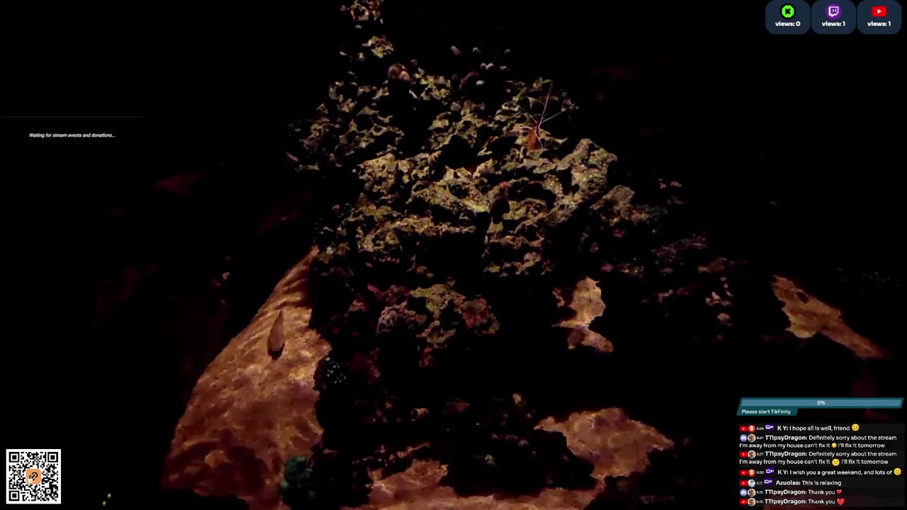 24/7 Real Live Reef Stream