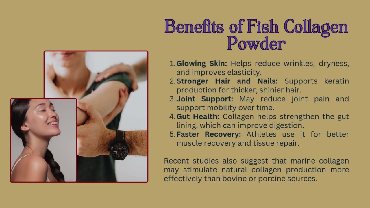 What’s the Hype with Fish Collagen Powder? Real Questions, Real Answers