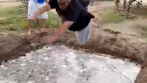 FUNNY VIDEO FOR FUN