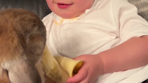 Boy Shares Banana With Bunny