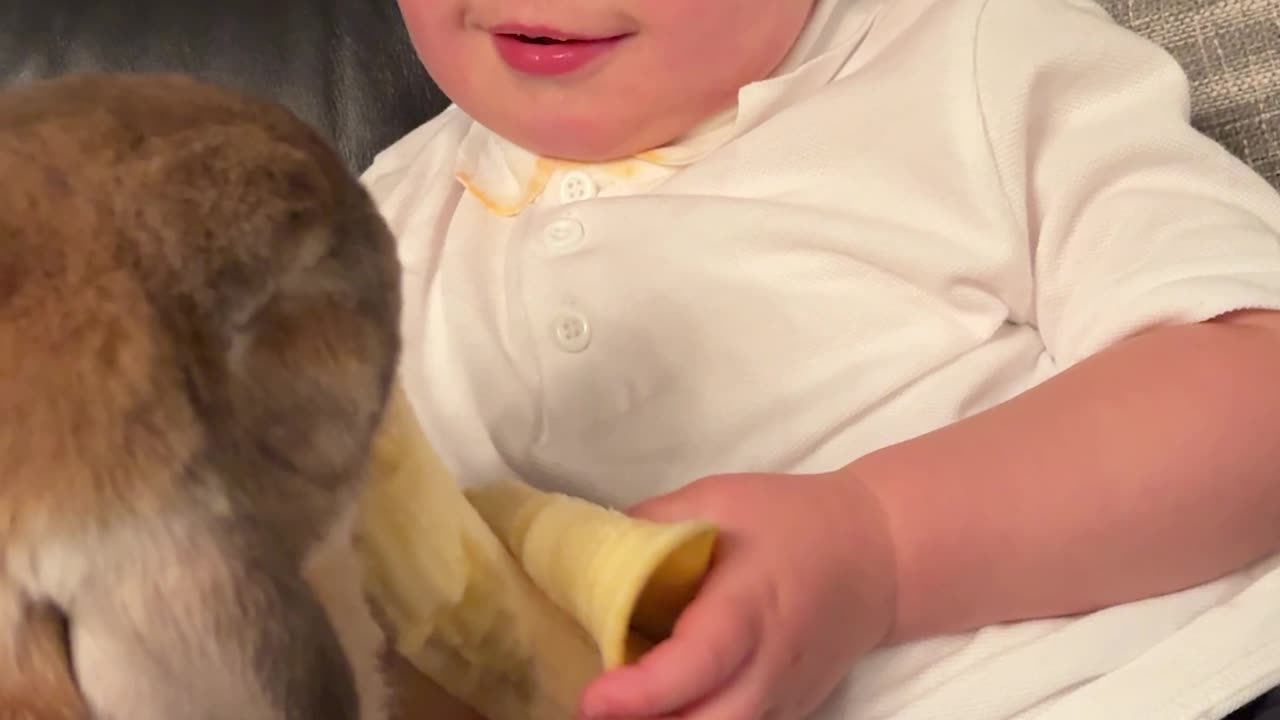 Boy Shares Banana With Bunny