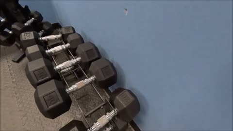 Stay Fit on the Go: Get creative with exercises You Can Do while ON VACATION! Paulie D. Explains!