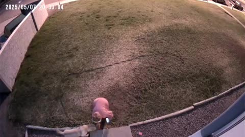 Evicted Roommate Throws Rocks at Locked Door