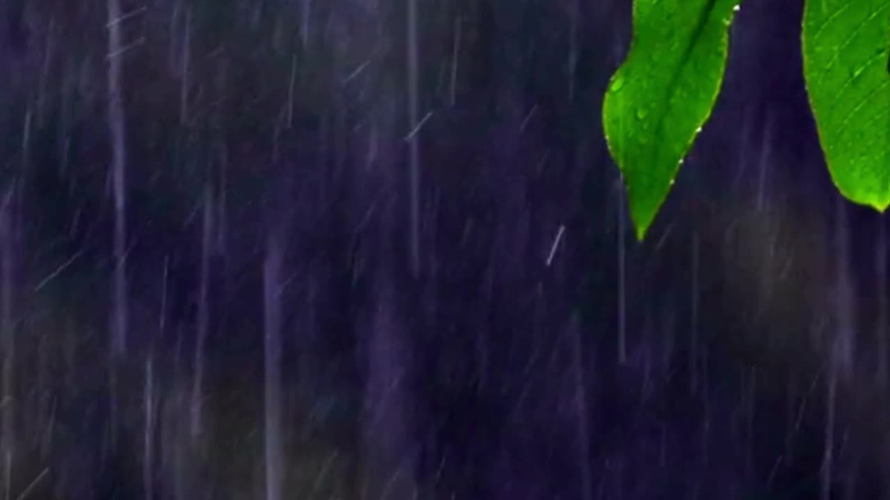 Relaxing Music 🌿 Relieves Stress Anxiety