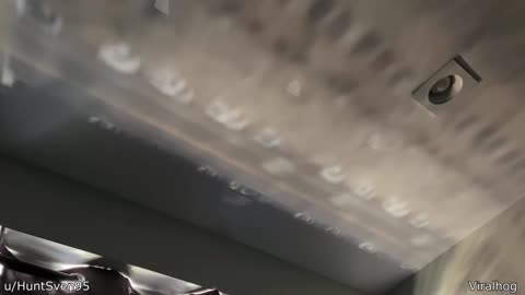 Friendly Cat Scares Away Delivery Man - Your Daily Does of Internet