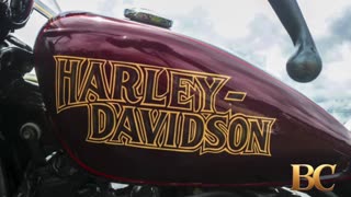 Harley-Davidson Names Topgolf Leader as New CEO