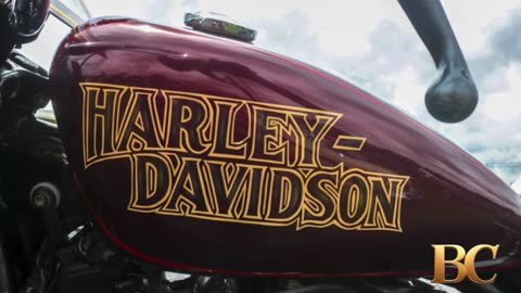 Harley-Davidson Names Topgolf Leader as New CEO