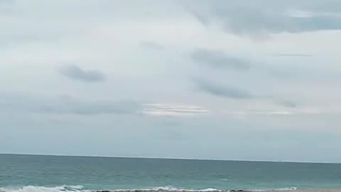 ✨Happy Thanksgiving Day