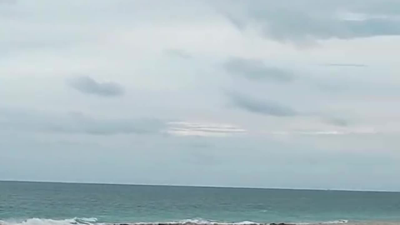 ✨Happy Thanksgiving Day